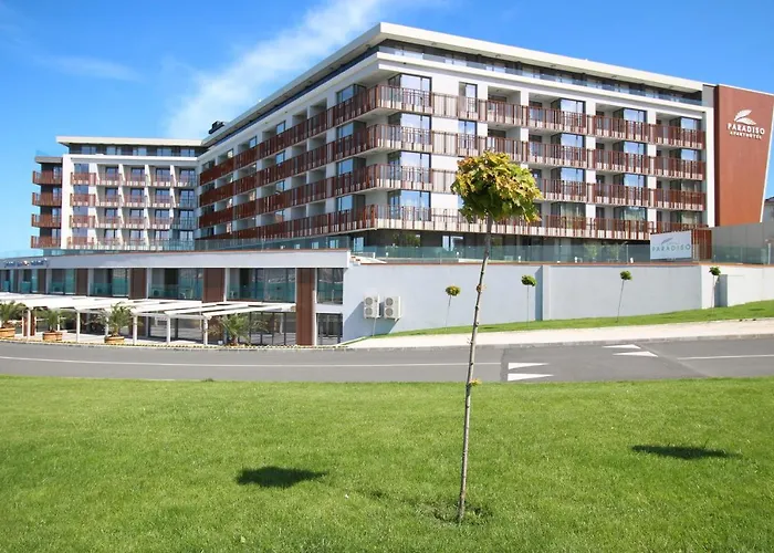 Paradiso 'в' 111 Large * نيسيبار